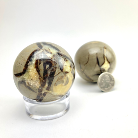 Septarian "Dragon Stone" Sphere | 2-3" | Madagascar