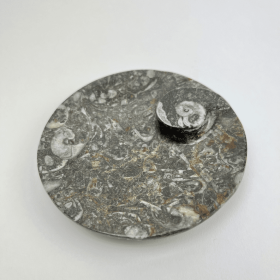 Fossil Round Dish | 100mm | Morocco