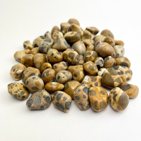 *Leopard Jasper | Tumbled | 15-25mm | 1 lb | India