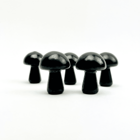 Shungite Mushrooms | 30mm