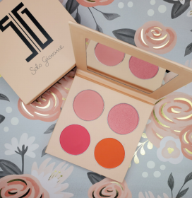 Four Shades Blush Palette (Color: Pink/ Orange)